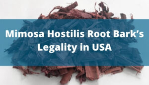 Mimosa Hostilis Root Bark’s Legality in USA