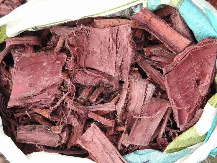 Where To Buy Mimosa Hostilis Root Bark