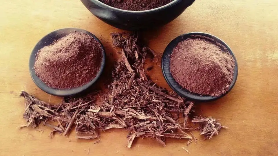 Mimosa Hostilis Root Barks Legality in USA