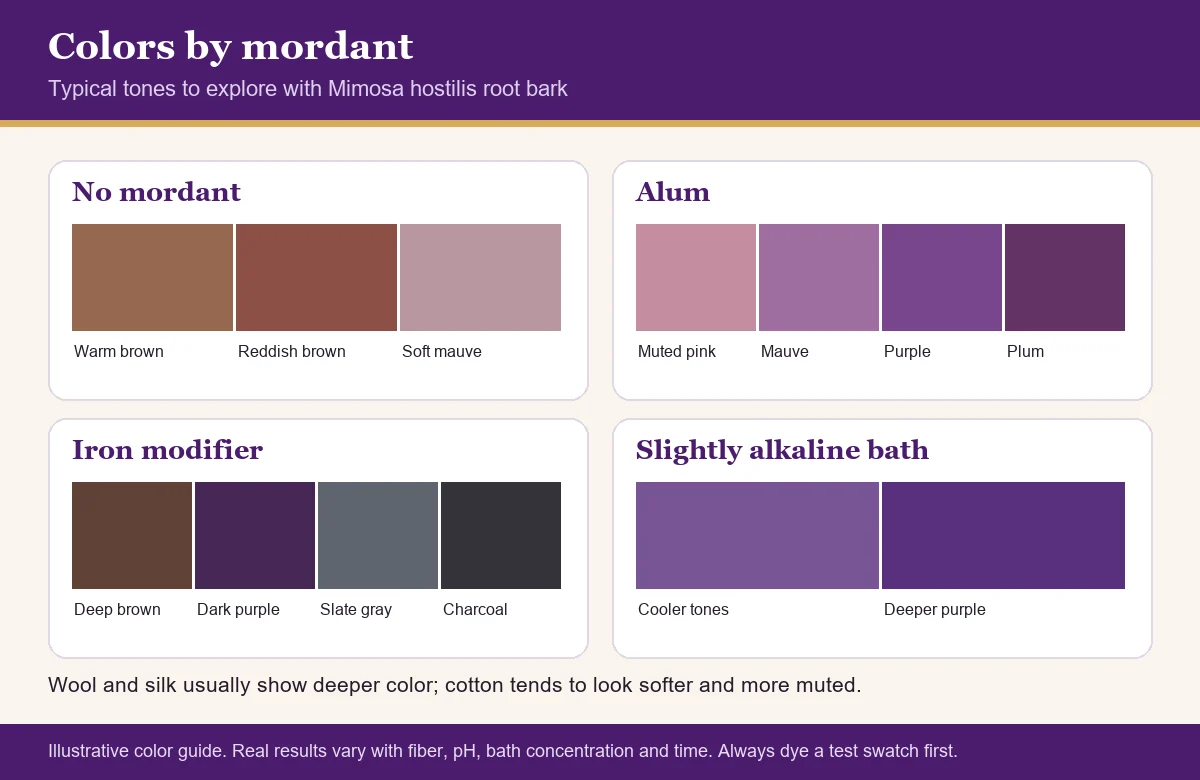 Color chart of Mimosa hostilis dye shades with no mordant, alum, iron and an alkaline bath